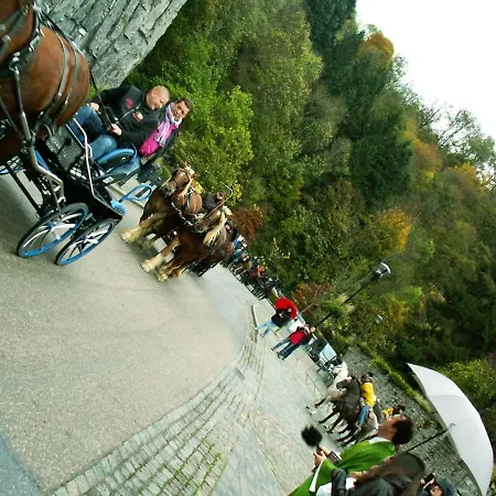펜션 Chalet Siesta Is Rust & In - Barvaux-sur-ourthe