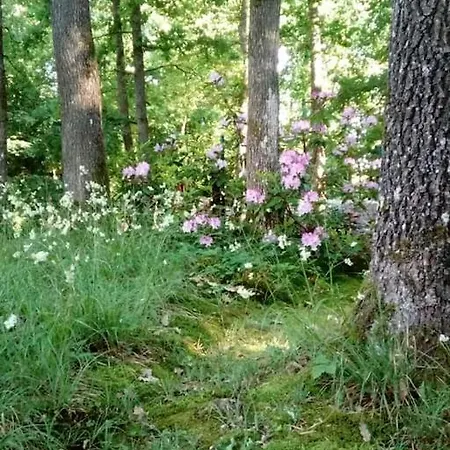 Chalet Siësta Is Rust&natuur In Barvaux Vakantiehuis *