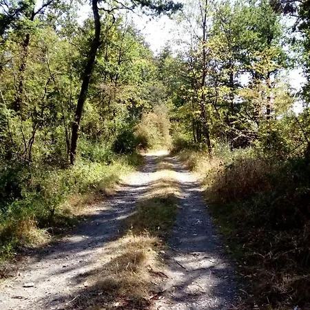 Chalet Siësta Is Rust&natuur In Barvaux Durbuy